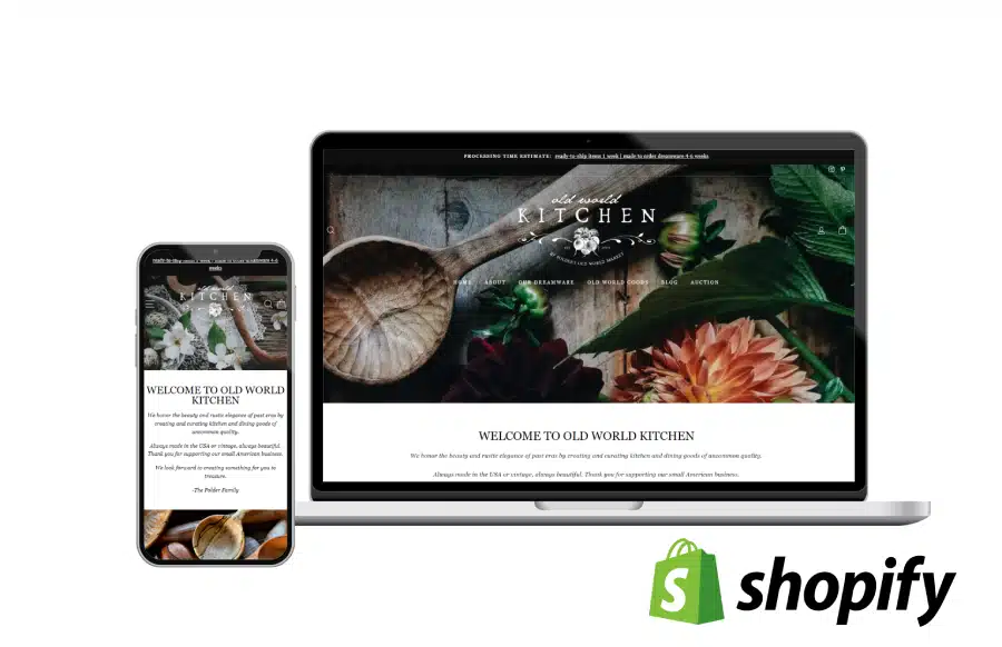 shopify platform